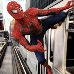 Spider Man