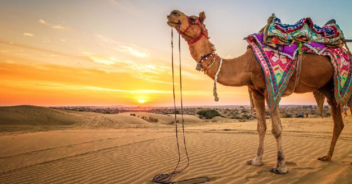Rajasthan's Regal Edifices: 6 Iconic Must-Visits | Quizzop